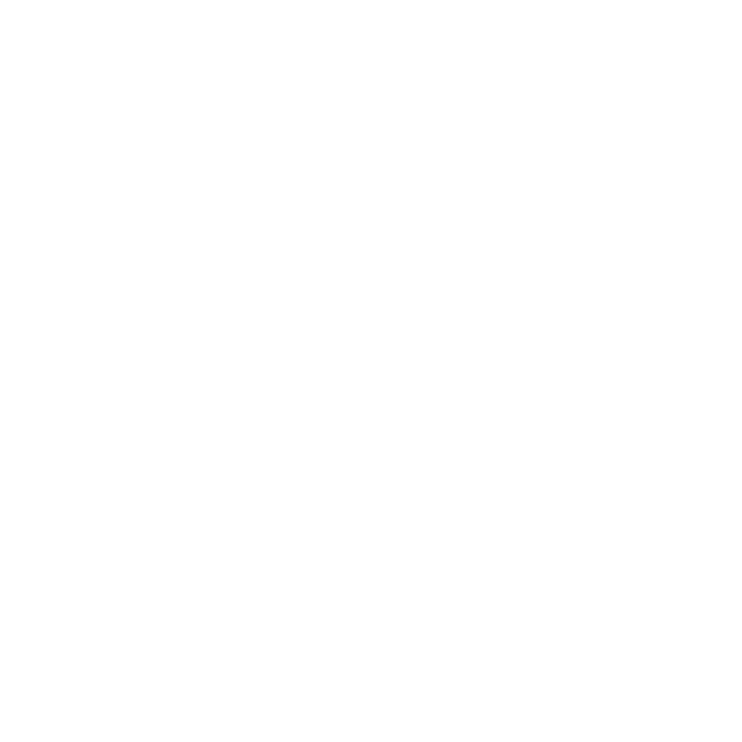 Instagram icon - Footer