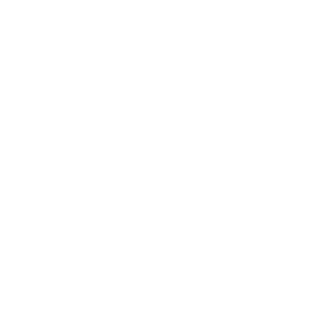Bridge Financing